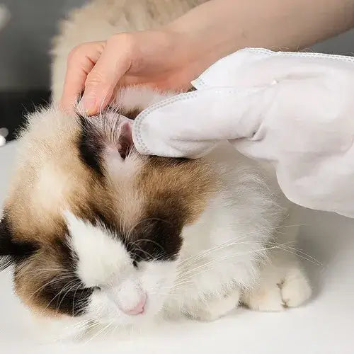 LUVA UMEDECIDA BANHO A SECO PARA CÃES E GATOS