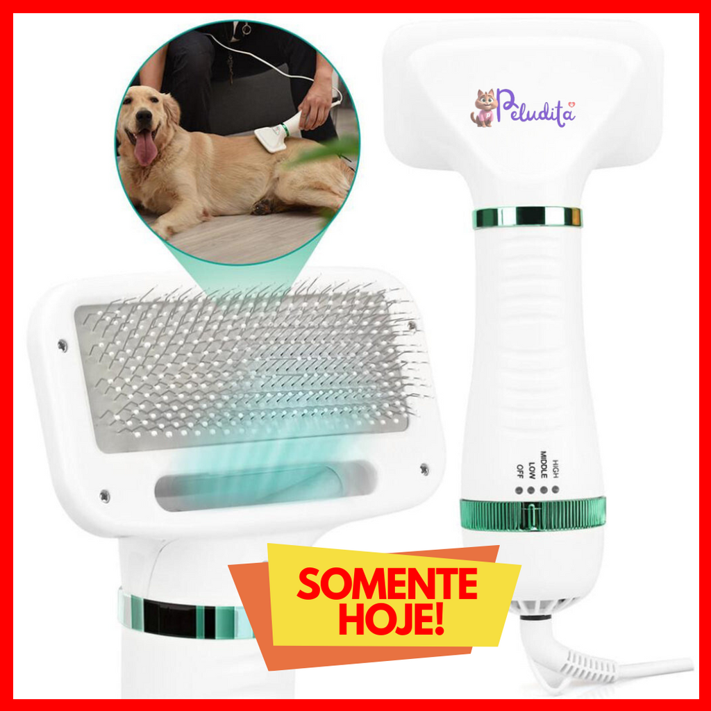 Secador Pet 2 em 1: Seca, Remove Pelos Soltos e Desembaraça