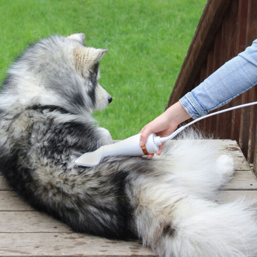 Secador Pet 2 em 1: Seca, Remove Pelos Soltos e Desembaraça