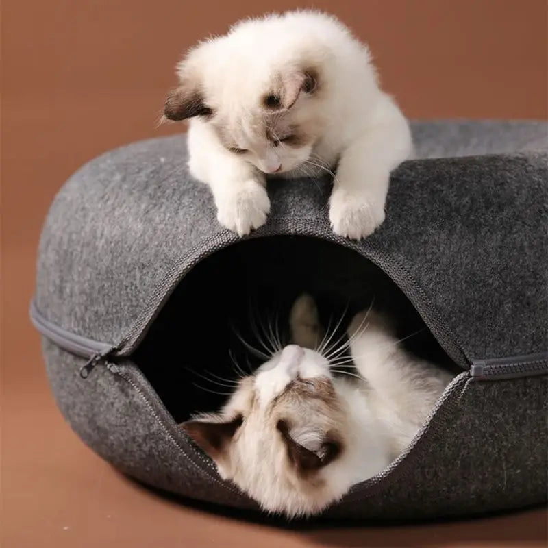Cama para Gatos Temática Donut