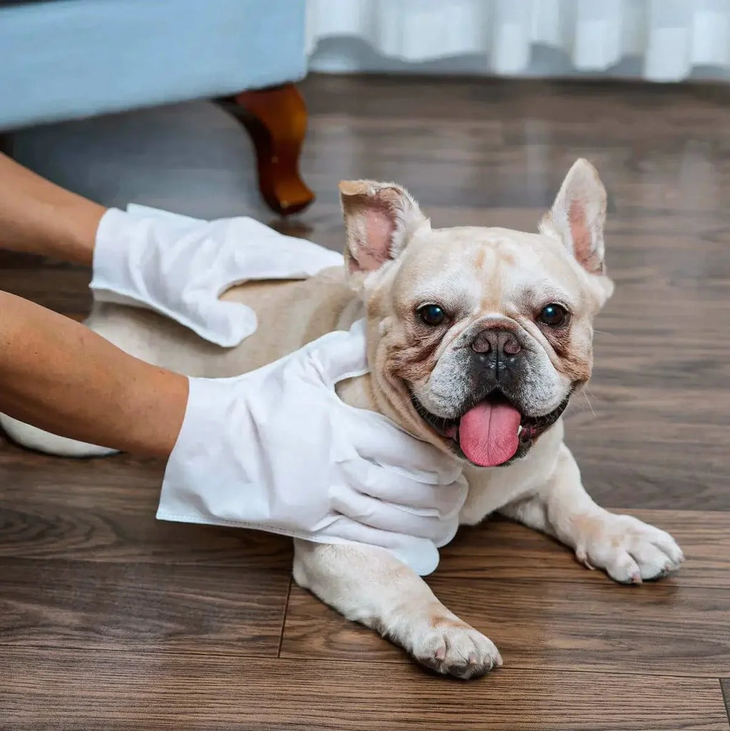 LUVA UMEDECIDA BANHO A SECO PARA CÃES E GATOS