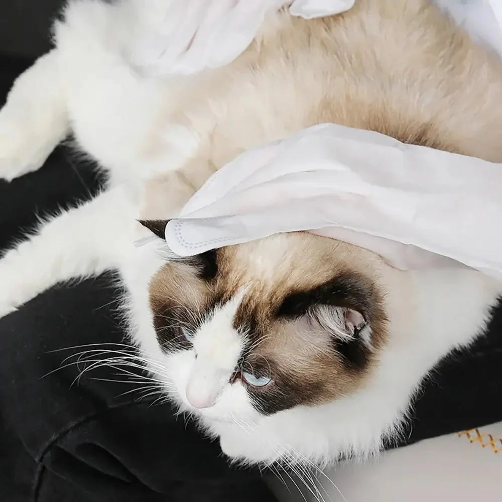 LUVA UMEDECIDA BANHO A SECO PARA CÃES E GATOS